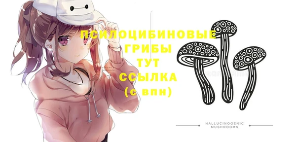 мескалин Абаза