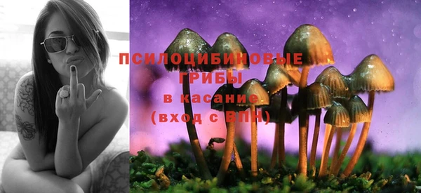 mdpv Абдулино
